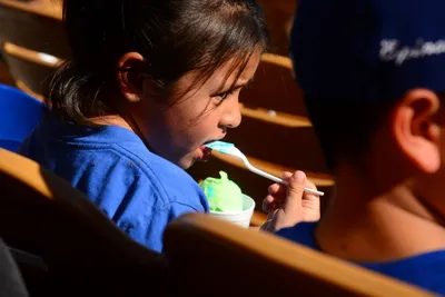 DSC_1666 (Large).JPG